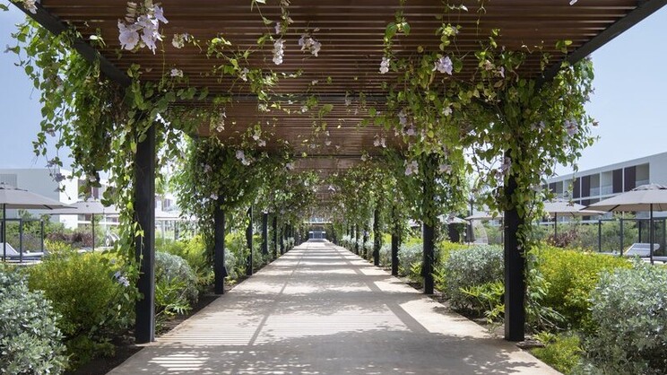 Live Aqua Punta Cana